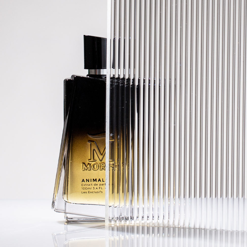 Morph Rose J. EDP 100 ml